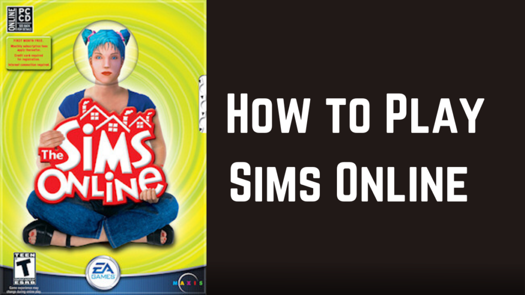 Playing The Sims Online