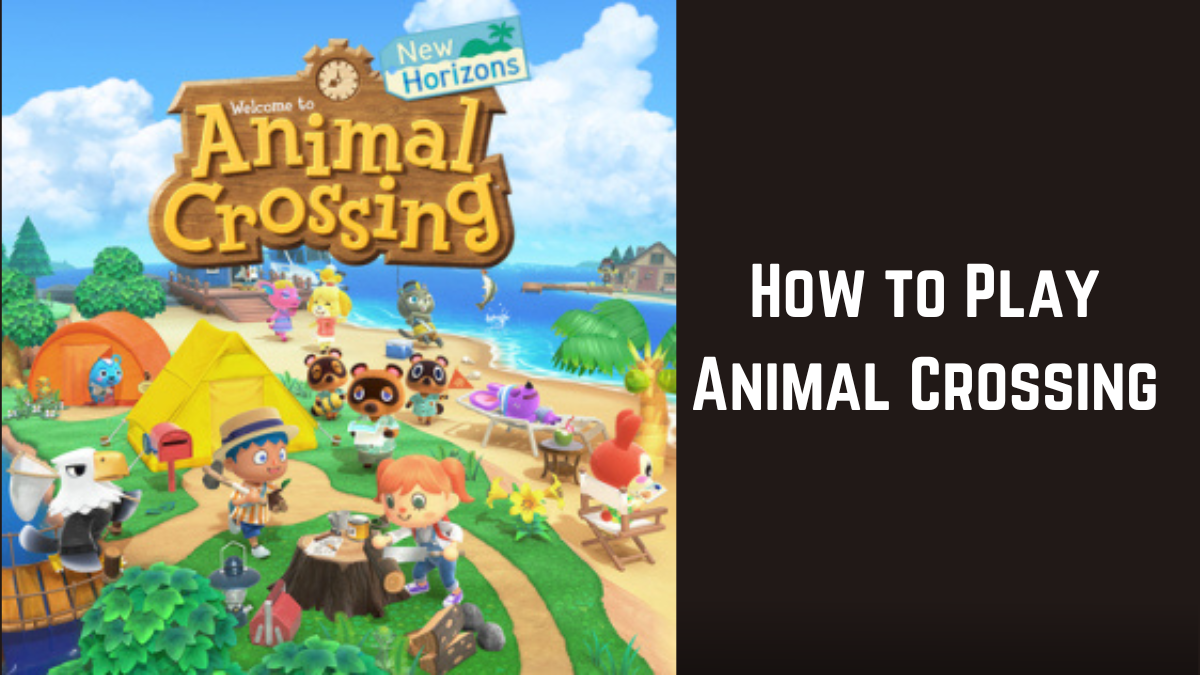 How to Play Animal Crossing with Friends